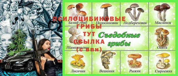 стафф Аркадак