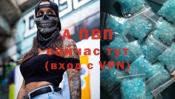 стафф Аркадак
