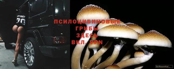 Альфа ПВП Армянск
