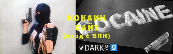 стафф Аркадак