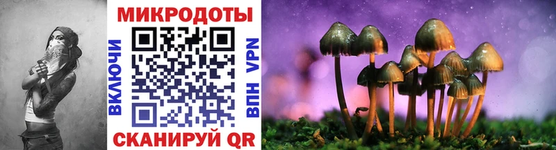 Псилоцибиновые грибы GOLDEN TEACHER  Купить  Высоцк 